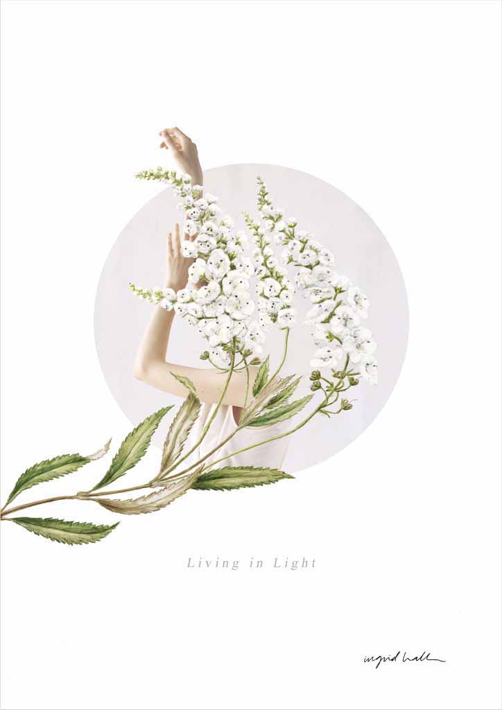 living-in-light
